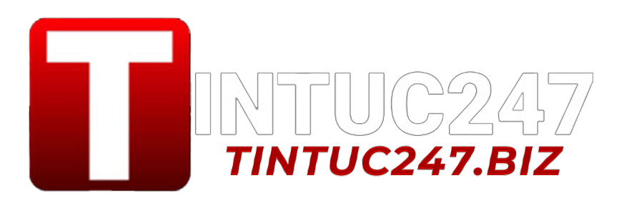 tintuc247